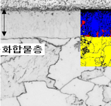 화합물층 단면 상 분포