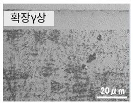 확장 γ상 단면 조직