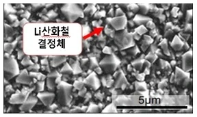 Li-Fe 복합 산화물 결정 SEM